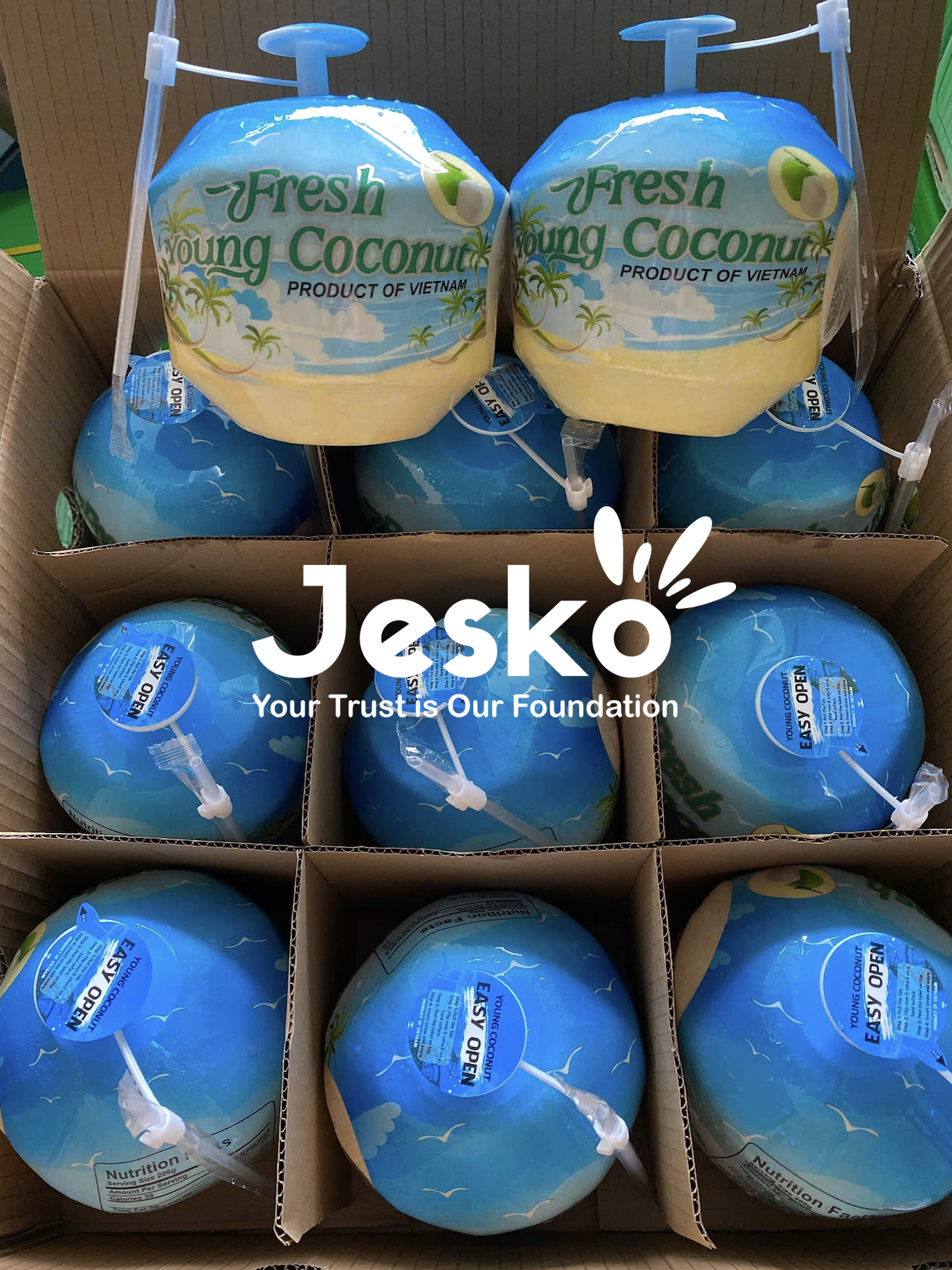 www.TheJesko.com