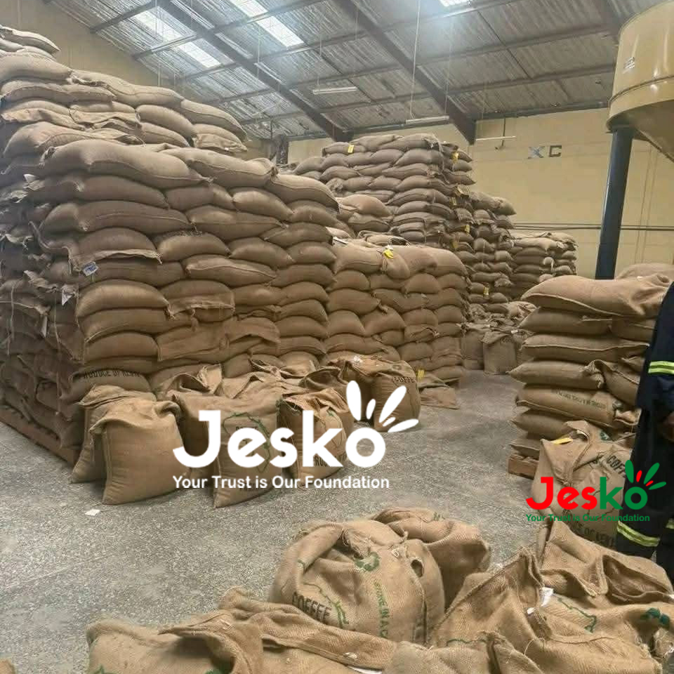 www.TheJesko.com