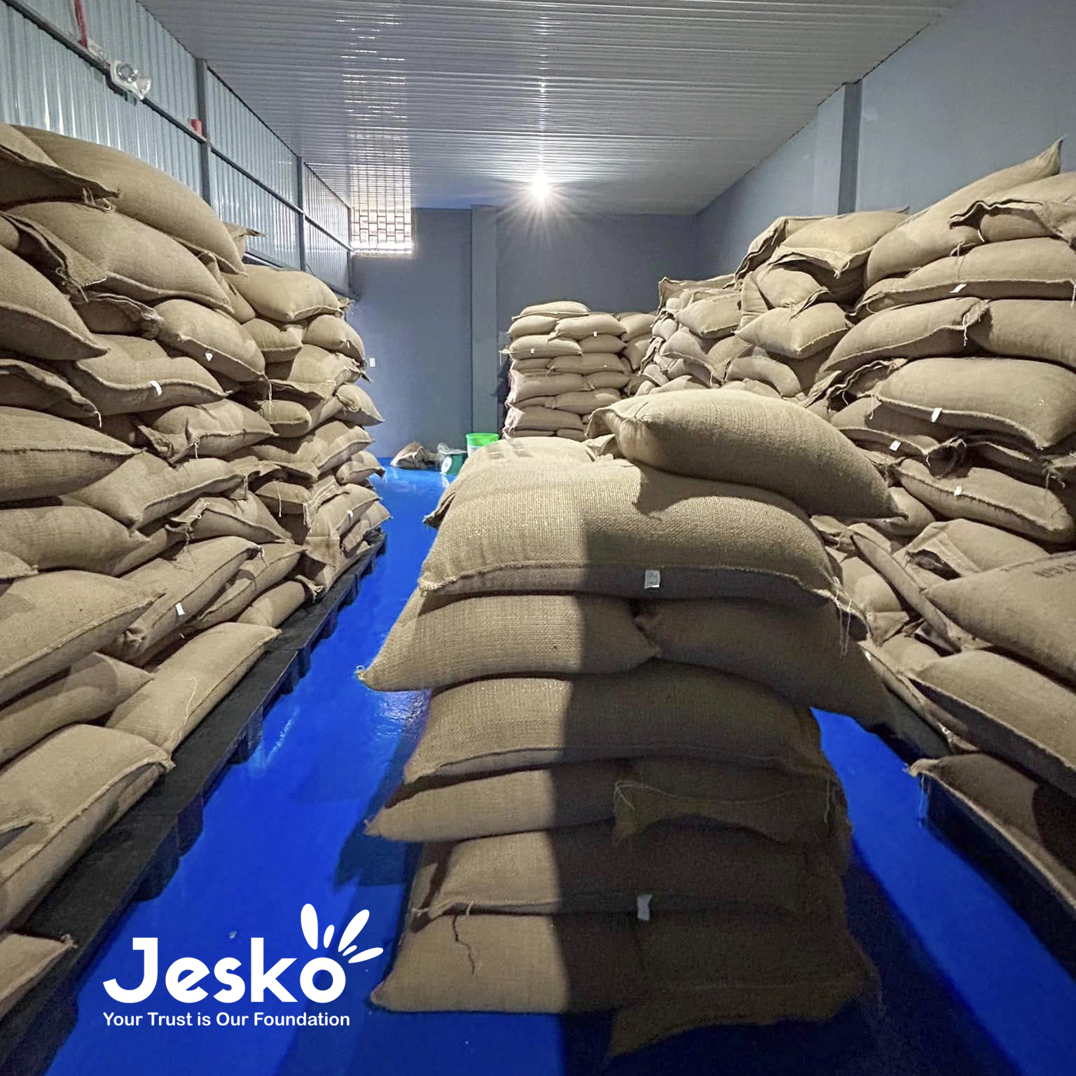 www.TheJesko.com
