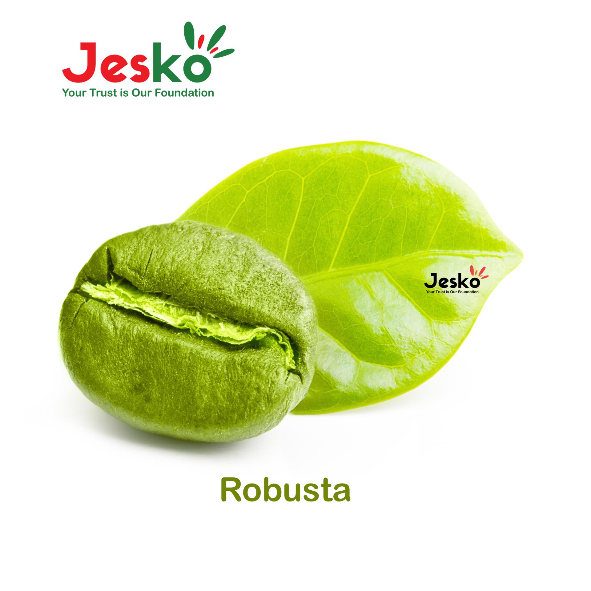 www.TheJesko.com