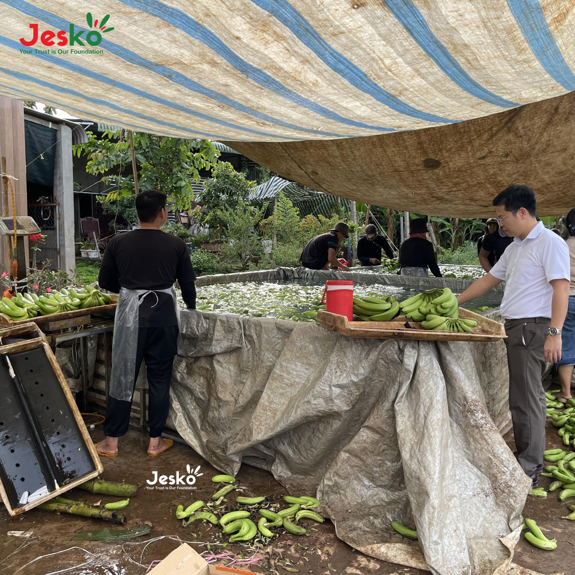 www.TheJesko.com