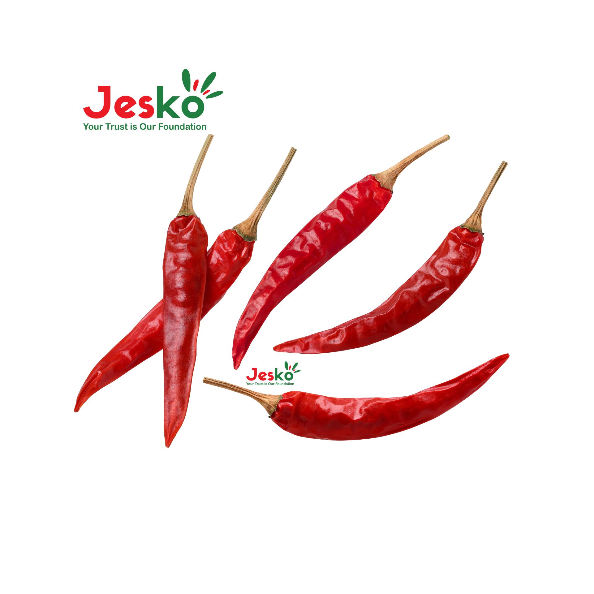www.TheJesko.com