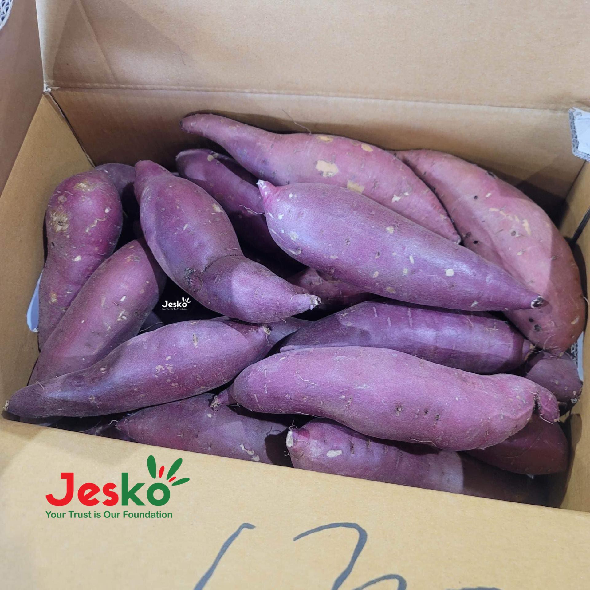 www.TheJesko.com
